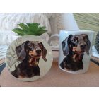 Fekete tacskó portré mintás bögre alátét