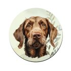 Drótszőrű magyar vizsla portré mintás bögre alátét