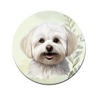 Máltai selyemkutya portré mintás bögre alátét