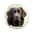 Barna Újfundlandi portré mintás bögre alátét