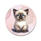 Cuki ragdoll cicus mintás bögre alátét