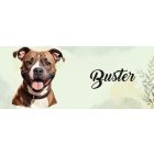 Névvel kérhető - Staffordshire terrier portré mintás bögre