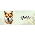 Névvel kérhető - Shiba inu portré mintás bögre