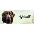 Névvel kérhető - Barna Újfundlandi portré mintás bögre