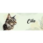 Névvel kérhető - Amerikai bobtail macska portré mintás bögre