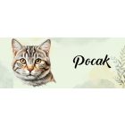 Névvel kérhető - Amerikai rövidszőrű macska portré mintás bögre