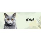 Névvel kérhető - Brit rövidszőrű macska portré mintás bögre