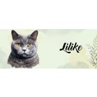 Névvel kérhető - Karthauzi macska portré mintás bögre