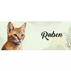 Névvel kérhető - Chausie macska portré mintás bögre