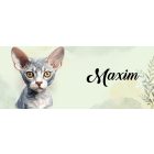 Névvel kérhető - Szürke Devon Rex macska portré mintás bögre