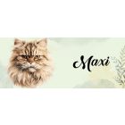 Névvel kérhető - Perzsamacska portré mintás bögre