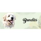 Névvel kérhető - Tátrai juhászkutya portré mintás bögre