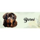 Névvel kérhető - Tibeti masztiff portré mintás bögre