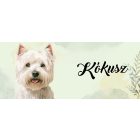 Névvel kérhető - Westie portré mintás bögre
