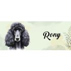 Névvel kérhető - Fekete óriás uszkár portré mintás bögre