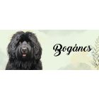 Névvel kérhető - Fekete puli portré mintás bögre