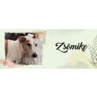 Egyedi - Kérd a kedvenced fotójával! - Portré, saját fotós bögre