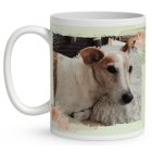 Egyedi - Kérd a kedvenced fotójával! - Portré, saját fotós bögre