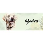 Névvel kérhető - Fehér labrador portré mintás bögre