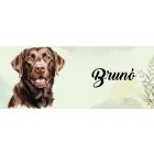 Névvel kérhető - Barna labrador portré mintás bögre