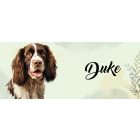 Névvel kérhető - Barna angol springer spániel portré mintás bögre