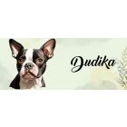 Névvel kérhető - Boston terrier portré mintás bögre