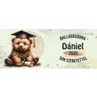 Névvel kérhető Maci - 2025 évi Ballagásra mintás bögre