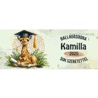 Névvel kérhető Zsiráf - 2025 évi Ballagásra mintás bögre