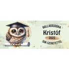 Névvel kérhető Bagoly - 2024 évi Ballagásra mintás bögre