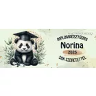 Névvel kérhető Panda - 2026 évi Ballagásra mintás bögre