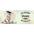 Névvel kérhető Bárány - 2024 évi Ballagásra mintás bögre