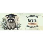 Névvel kérhető Mosómedve - 2025 évi Ballagásra mintás bögre