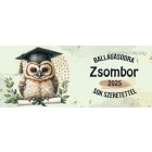 Névvel kérhető Bölcs Bagoly - 2025 évi Ballagásra mintás bögre