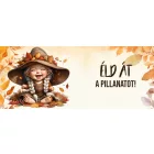 AJÁNDÉK VÁSÁRLÁSHOZ - Éld át a pillanatot - Őszi manó lány mintás bögre