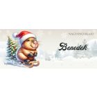 Névvel kérhető - Vidám szánkós capybara mintás bögre