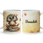 Névvel kérhető - Cuki őszi szemüveges bagoly mintás bögre