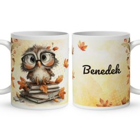   Névvel kérhető - Cuki őszi szemüveges bagoly mintás bögre