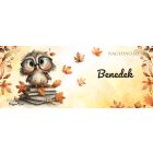 Névvel kérhető - Cuki őszi szemüveges bagoly mintás bögre