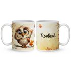 Névvel kérhető - Cuki őszi bagoly fiú mintás bögre