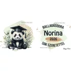 Névvel kérhető Panda - 2026 évi Ballagásra mintás persely