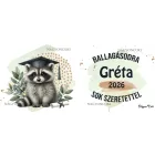 Névvel kérhető Mosómedve - 2026 évi Ballagásra mintás persely