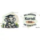 Névvel kérhető Elefánt - 2026 évi Ballagásra mintás persely