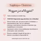 Júniusi Napfényes Életöröm  – Léleksimogató színező (PDF)