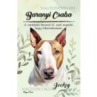 Személyre szabható -  Barna Bullterrier portré mintás füzet