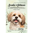 Személyre szabható - Barna Havanese portré mintás füzet