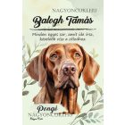 Személyre szabható - Magyar vizsla portré mintás füzet