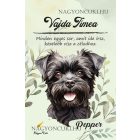 Személyre szabható - Fekete Affenpinscher portré mintás füzet