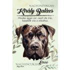 Személyre szabható - Cane Corso portré mintás füzet