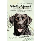 Személyre szabható - Fekete Labrador Retriever portré mintás füzet