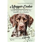 Személyre szabható - Német rövidszőrű vizsla portré mintás füzet